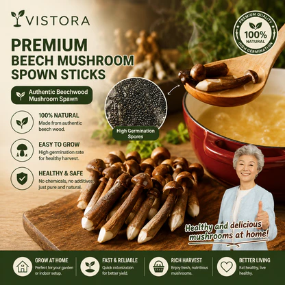 Organic Mushroom Harvest Grow Kit Seeds – Buy 1 Get 1 Free