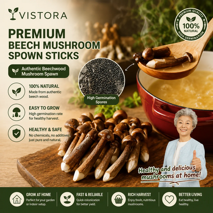Organic Mushroom Harvest Grow Kit Seeds – Buy 1 Get 1 Free