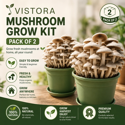 Organic Mushroom Harvest Grow Kit Seeds – Buy 1 Get 1 Free