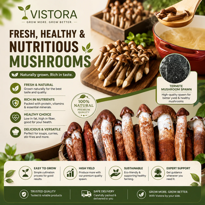 Organic Mushroom Harvest Grow Kit Seeds – Buy 1 Get 1 Free