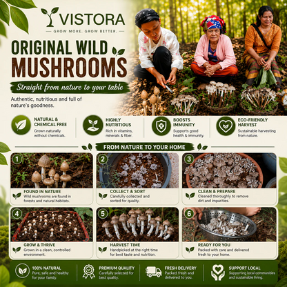 Organic Mushroom Harvest Grow Kit Seeds – Buy 1 Get 1 Free
