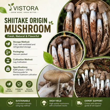 Organic Mushroom Harvest Grow Kit Seeds – Buy 1 Get 1 Free
