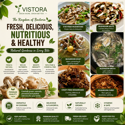 Organic Mushroom Harvest Grow Kit Seeds – Buy 1 Get 1 Free